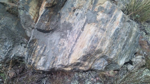 Гигантские зелёные валуны для ландшафтного дизайна весом более 5 тонн купить в Московской области