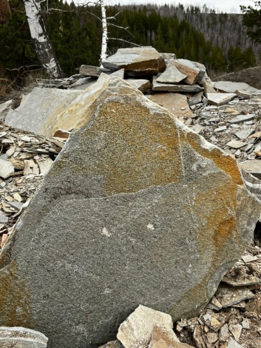 пошаговая дорожка плиты